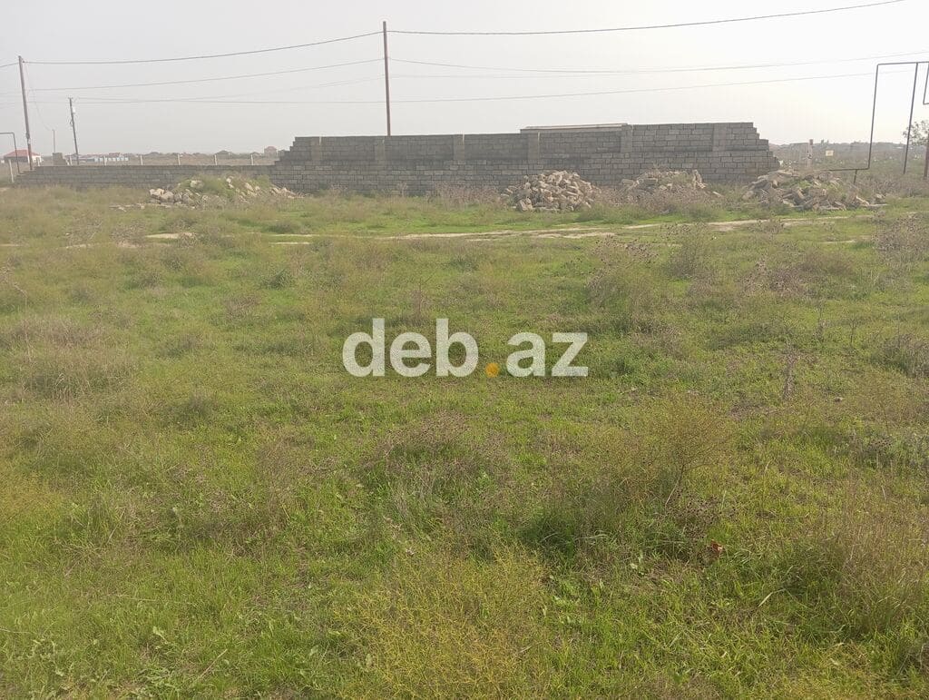 6 sot, Kənd təsərrüfatı, Maklerlər narahat etməsin, Kupça (Çıxarış) — Abşeron
