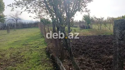 10 sot, Kənd təsərrüfatı, Kupça (Çıxarış) — kiçik şəkil 7