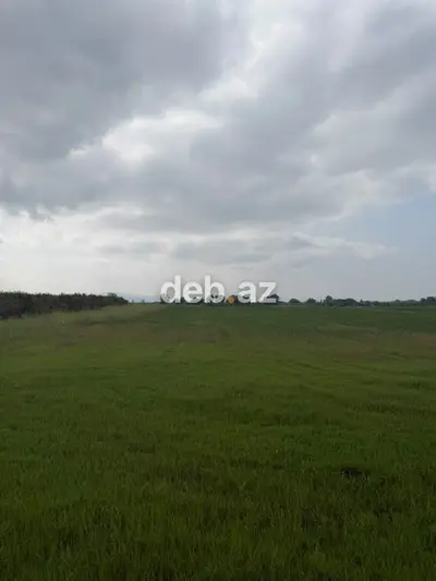 1.14 hektar (114 sot) kənd təsərrüfatı təyinatlı sənədli torpaq sahəsi satılır — kiçik şəkil 3