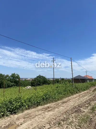 7 sot, Tikinti, Mülkiyyətçi, Kupça (Çıxarış) — kiçik şəkil 4
