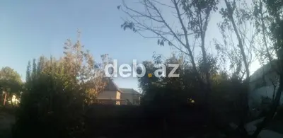 Ağdaşda, Qabil küçəsində 5 sot bar verən, daş hasarlı, kupçalı torpaq satılır — kiçik şəkil 2