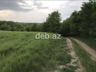 Zərdabda 130 sot (1.3 ha) kənd təsərrüfatı və istirahət təyinatlı torpaq sahəsi satılır — kiçik şəkil 4