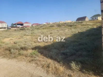 5 sot, Tikinti, Mülkiyyətçi, Kupça (Çıxarış) — kiçik şəkil 9