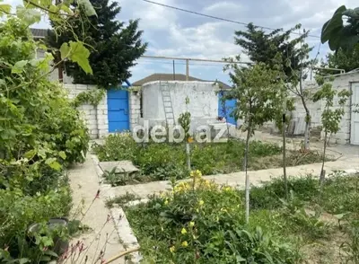 3 otaqlı, 76 kv. m, Yeni təmirli — kiçik şəkil 5