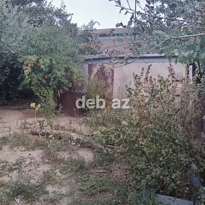 Kənd təsərrüfatı — kiçik şəkil 3
