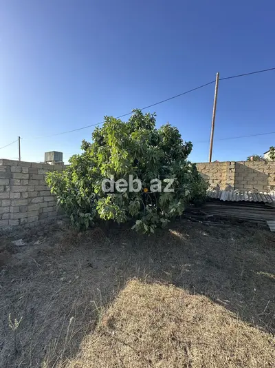 4 sot, Tikinti, Maklerlər narahat etməsin, Kupça (Çıxarış) — kiçik şəkil 6