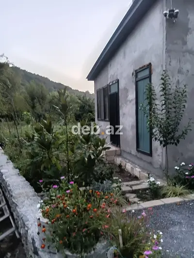 Qəbələ, Vəndamda hovuzlu 3 otaqlı günlük kirayə bağ evi (100 kv.m) — kiçik şəkil 9
