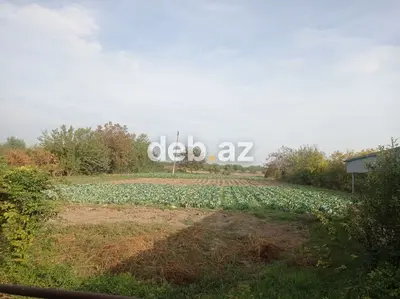 3 otaqlı, 64 kv. m, Kredit yoxdur, Orta təmir — kiçik şəkil 3