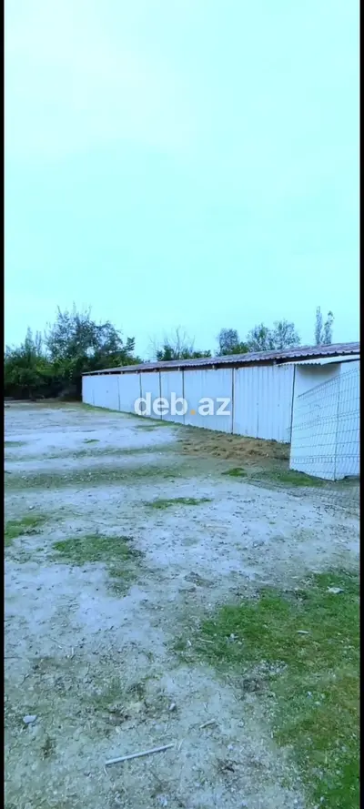 650 sot, Kənd təsərrüfatı, Maklerlər narahat etməsin, Kupça (Çıxarış) — kiçik şəkil 3