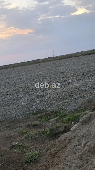 15000 sot, Kənd təsərrüfatı, Mülkiyyətçi, Kupça (Çıxarış) — kiçik şəkil 5