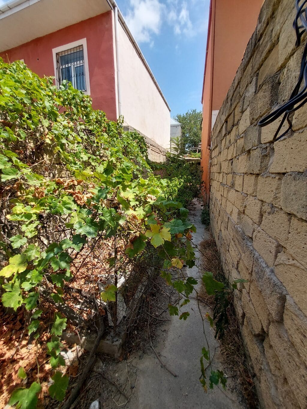 Biləcəridə Kupçalı 2 sot torpaq və köhnə ev satılır – Hərbi şəhərcik (Təcili) — kiçik şəkil 4