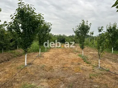 3 otaqlı, 115 kv. m, Yeni təmirli — kiçik şəkil 8