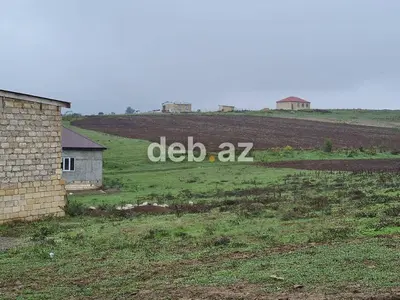 100 sot, Kənd təsərrüfatı, Mülkiyyətçi, Kupça (Çıxarış) — kiçik şəkil 12