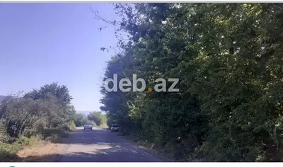 43 sot, Tikinti, Kupça (Çıxarış) — kiçik şəkil 5