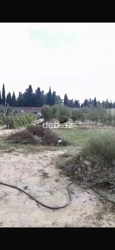 Sabunçu rayonu, Bilgəh qəsəbəsində kənd təsərrüfatı təyinatlı torpaq sahəsi satılır (Kupçalı) — kiçik şəkil 2