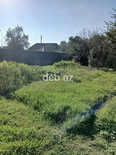 4 sot, Tikinti, Kupça (Çıxarış) — kiçik şəkil 4