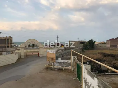 50 sot, Tikinti, Kupça (Çıxarış) — kiçik şəkil 6