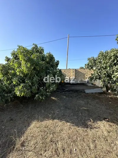 4 sot, Tikinti, Maklerlər narahat etməsin, Kupça (Çıxarış) — kiçik şəkil 3