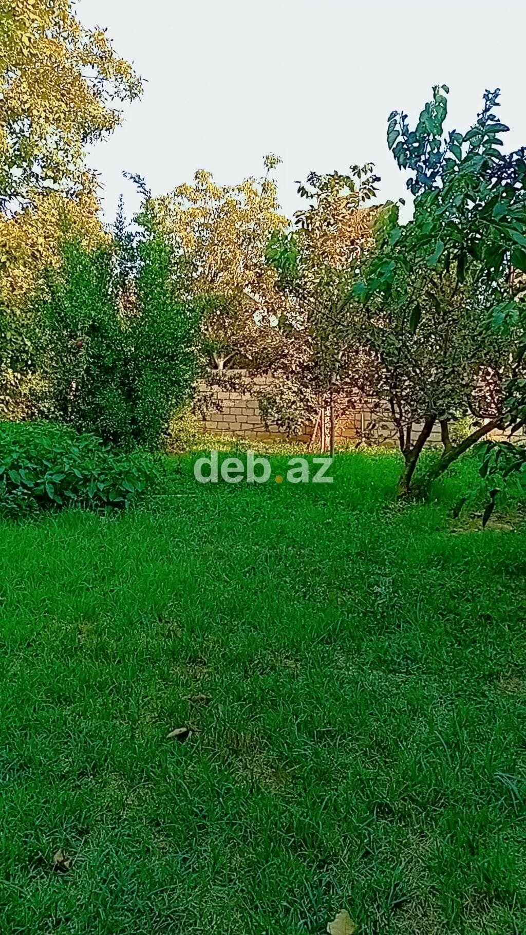 Agcebedide Torpaq Satilir — Şəhərin Mərkəzində Kadastrı Olan 7 Sot — Ağcabədi