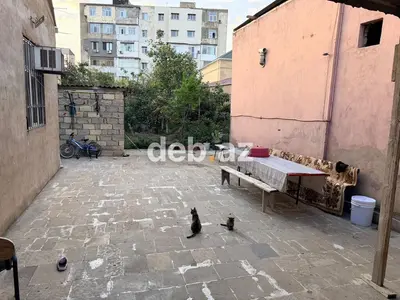 6 sot, Biznes üçün, Mülkiyyətçi, Kupça (Çıxarış) — kiçik şəkil 2