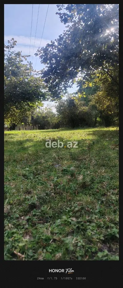 8 sot, Tikinti, Mülkiyyətçi, Kupça (Çıxarış) — kiçik şəkil 5