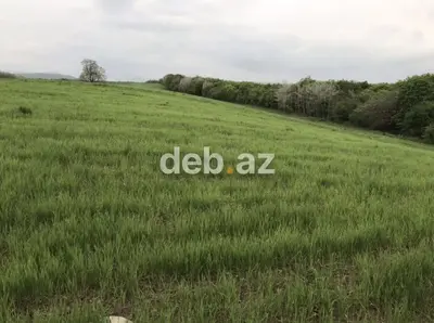 Zərdabda 130 sot (1.3 ha) kənd təsərrüfatı və istirahət təyinatlı torpaq sahəsi satılır — kiçik şəkil 1