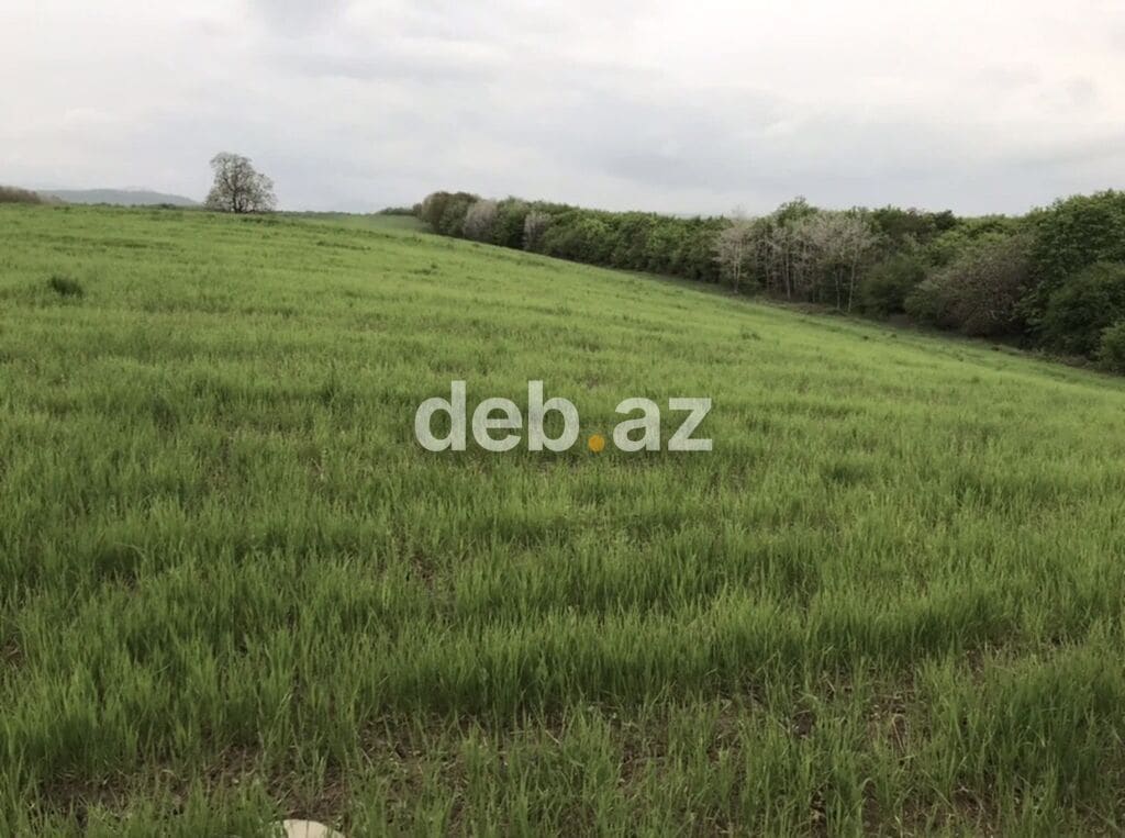 Zərdabda 130 sot (1.3 ha) kənd təsərrüfatı və istirahət təyinatlı torpaq sahəsi satılır — Zərdab