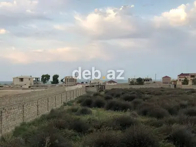 50 sot, Tikinti, Kupça (Çıxarış) — kiçik şəkil 2