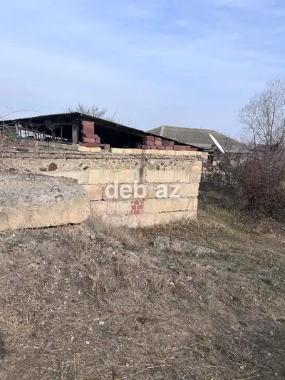 31 sot, Tikinti, Mülkiyyətçi, Kupça (Çıxarış) — kiçik şəkil 10
