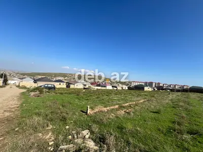 5 sot, Kənd təsərrüfatı — kiçik şəkil 1