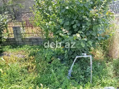 8 sot, Kənd təsərrüfatı, Mülkiyyətçi, Kupça (Çıxarış) — kiçik şəkil 6