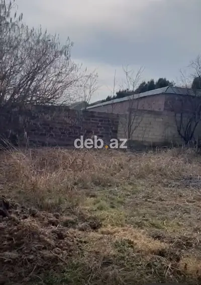 31 sot, Tikinti, Mülkiyyətçi, Kupça (Çıxarış) — kiçik şəkil 9