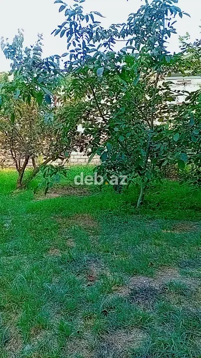 Agcebedide Torpaq Satilir — Şəhərin Mərkəzində Kadastrı Olan 7 Sot — kiçik şəkil 4