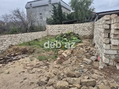 1 sot, Tikinti, Mülkiyyətçi, Kupça (Çıxarış) — kiçik şəkil 4
