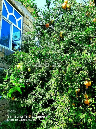 Yeni Ramanada tə'cili ev - villa satılır: daşdan tikilmiş, memarlığı — kiçik şəkil 13