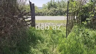 15 sot, Biznes üçün, Mülkiyyətçi, Kupça (Çıxarış) — kiçik şəkil 2