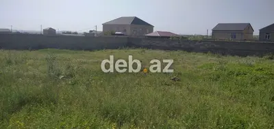 5 sot, Tikinti, Kupça (Çıxarış) — kiçik şəkil 3