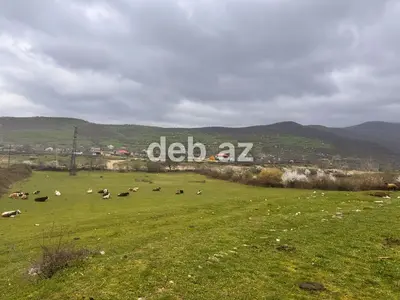 Şabranda Pirədəbil kəndinə gedən, Shabran Wellbeing Resort otel — kiçik şəkil 7