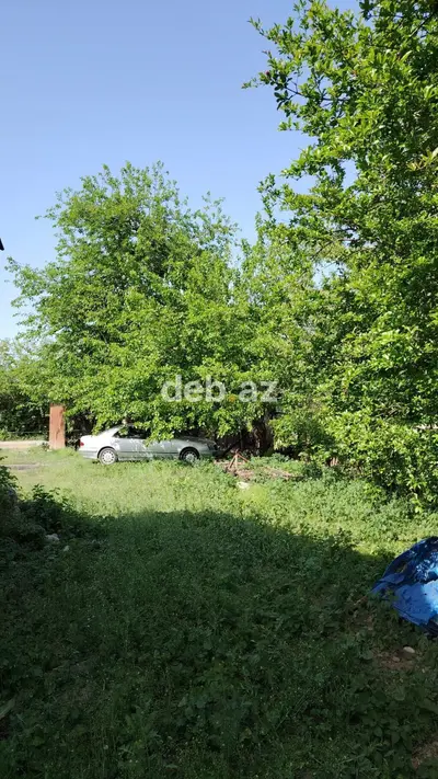 30 sot, Biznes üçün, Mülkiyyətçi, Kupça (Çıxarış) — kiçik şəkil 4