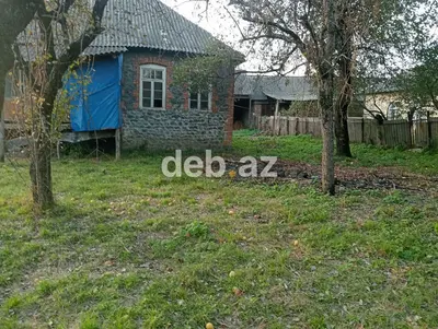 Zaqatala, Aşağı Talada EV SAHİBİNDƏN! Yol qırağında 27 sot həyətyanı torpaq v köhnə tikili ev satılır — Sotu 3500 AZN, Tam Kupçalı (Ev + Torpaq)! — kiçik şəkil 1