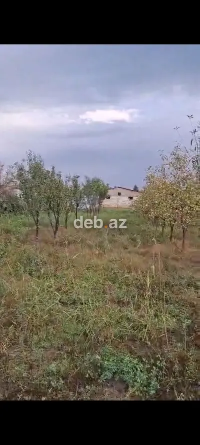 23 sot, Kənd təsərrüfatı, Mülkiyyətçi — kiçik şəkil 1