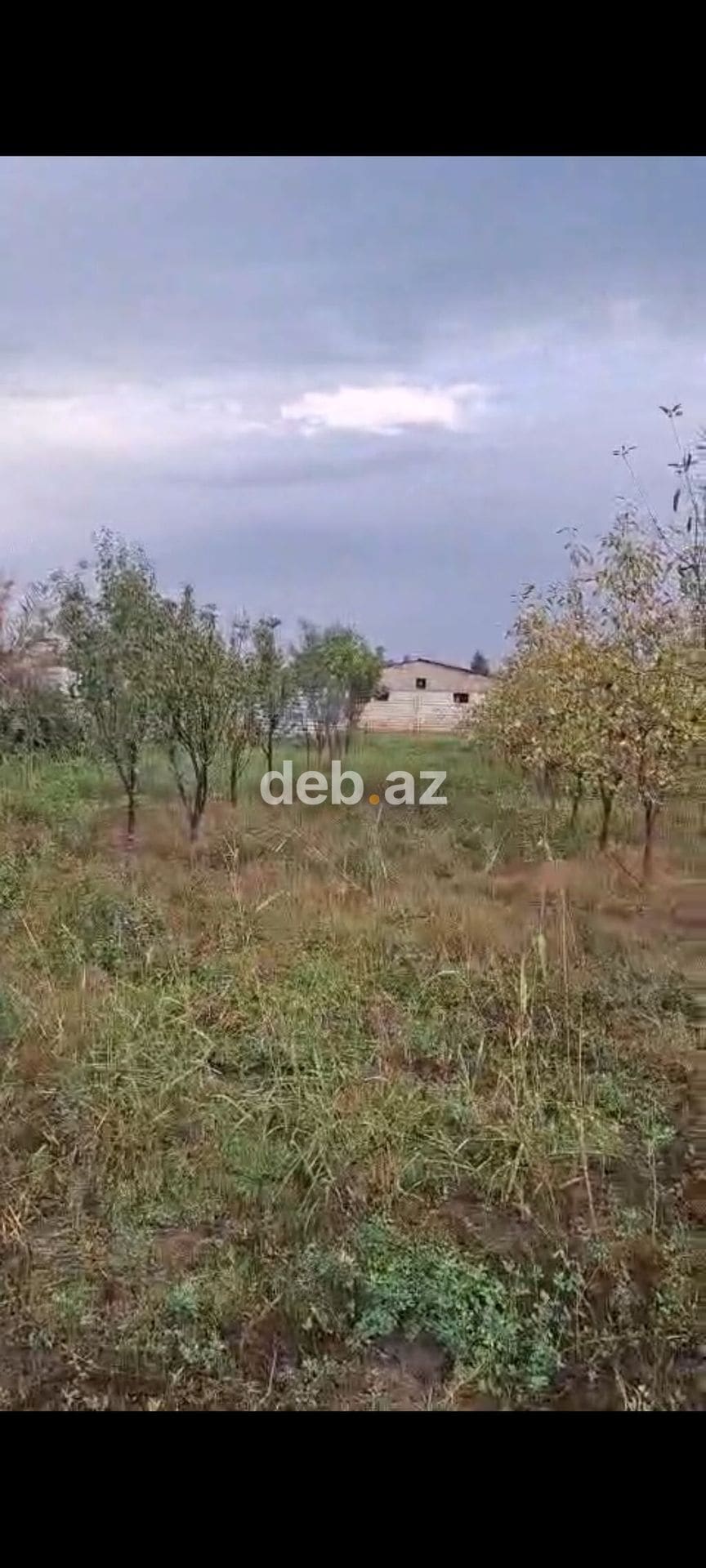 23 sot, Kənd təsərrüfatı, Mülkiyyətçi — şəkil 1