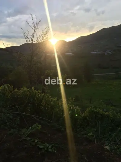 10 sot, Tikinti, Mülkiyyətçi, Kupça (Çıxarış) — kiçik şəkil 4