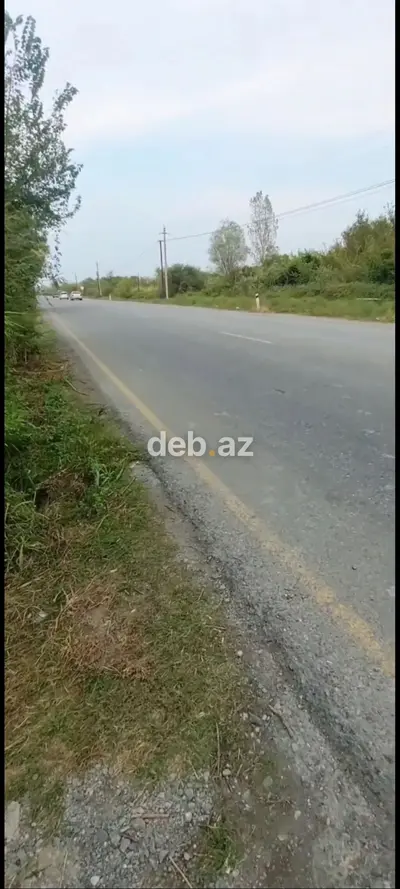 650 sot, Kənd təsərrüfatı, Maklerlər narahat etməsin, Kupça (Çıxarış) — kiçik şəkil 1