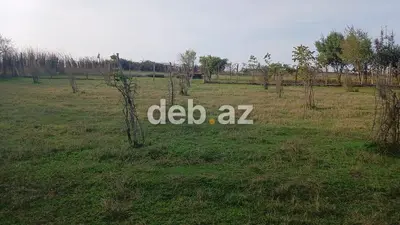 10 sot, Kənd təsərrüfatı, Kupça (Çıxarış) — kiçik şəkil 2