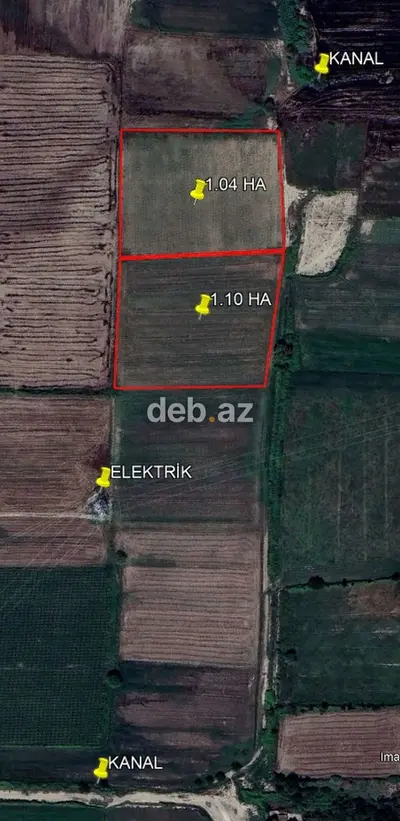200 sot, Kənd təsərrüfatı, Mülkiyyətçi, Kupça (Çıxarış) — kiçik şəkil 4