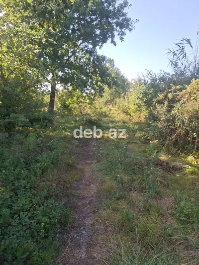 3 otaqlı, 45 kv. m, Təmirsiz — kiçik şəkil 3