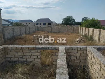 6 sot, Tikinti, Kupça (Çıxarış) — kiçik şəkil 9