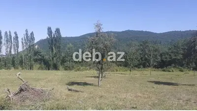 43 sot, Tikinti, Kupça (Çıxarış) — kiçik şəkil 4