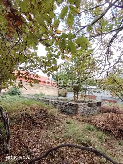 3 sot, Tikinti, Mülkiyyətçi, Kupça (Çıxarış) — kiçik şəkil 11